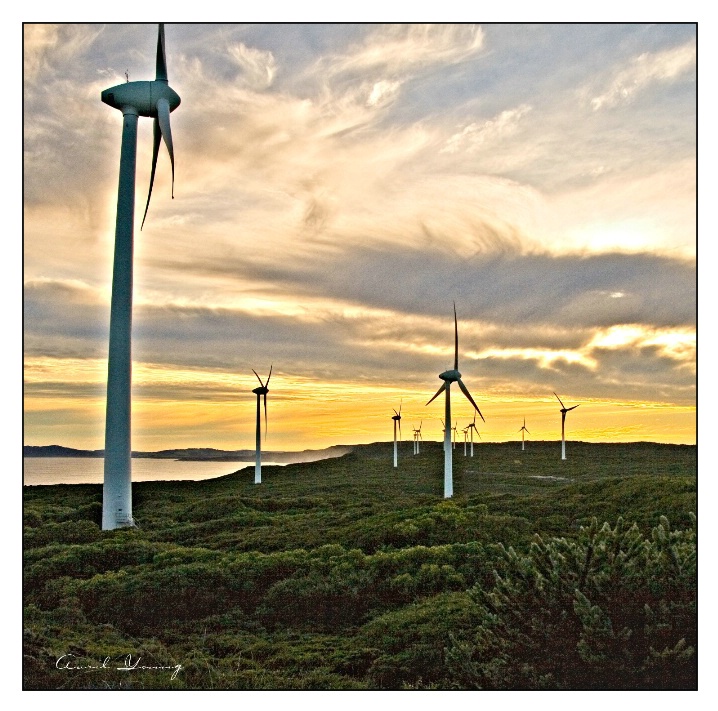 The Wind Farm Albany.