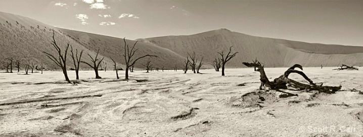 Deadvlei Panorama