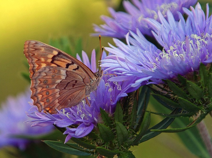 Nature at  Work - ID: 6405983 © Jeff Robinson