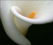 Involving caress ...