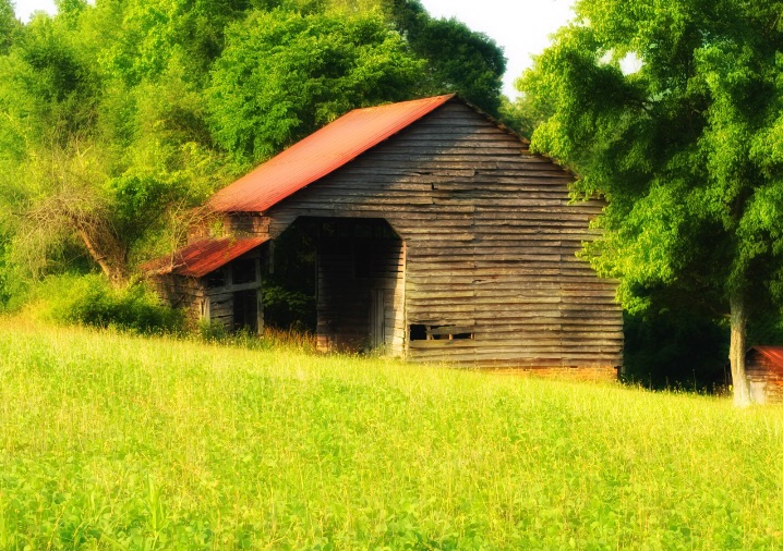 The old barn