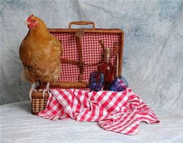 ~Chicken in a Basket~