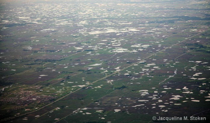 Widespread saturation and destruction of crops - ID: 6417109 © Jacqueline M. Stoken