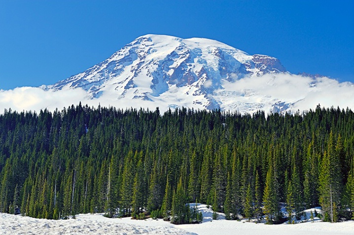 Mount Rainier in Spring - ID: 6419395 © Carolina K. Smith