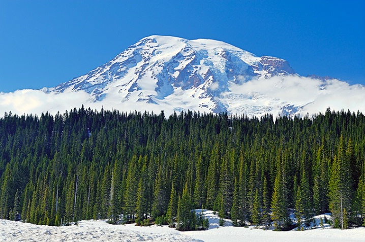 Mount Rainier in Spring