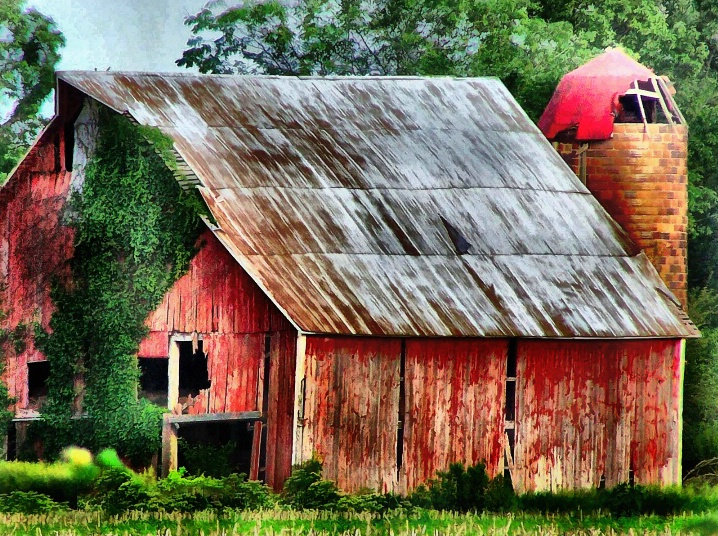 Country Scene