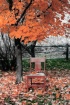 the chair