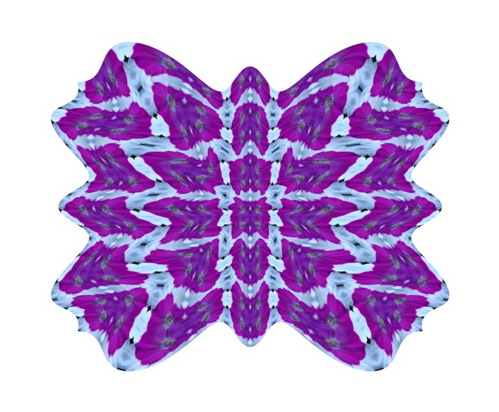 Petunia Butterfly     - ID: 6429109 © Theresa Marie Jones