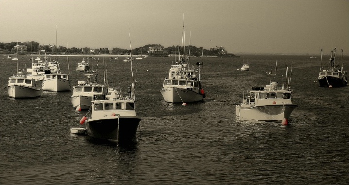 Fishing Fleet