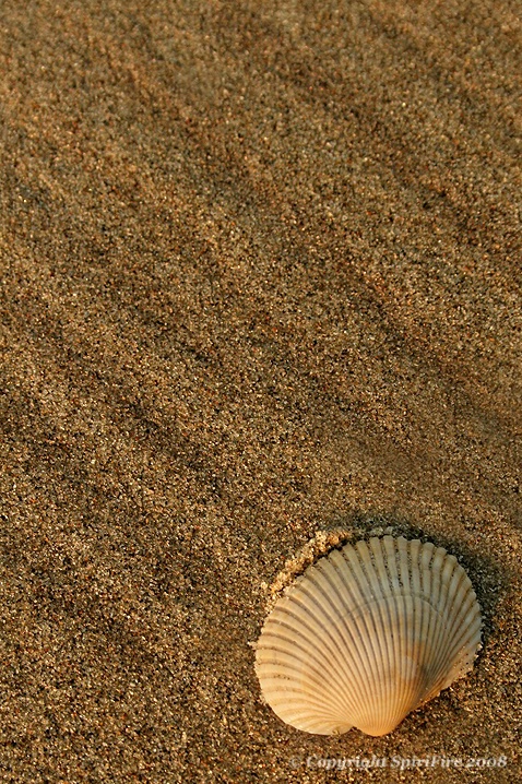 Sands of Time