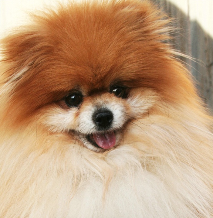 Spud  Jun 21 2001 - Jun 21 2008