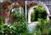 Arch Of Roses