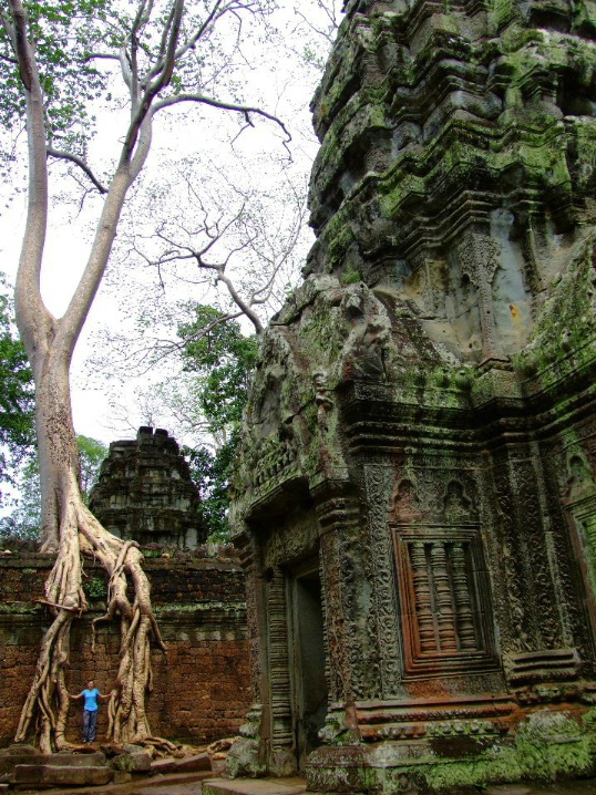 Dwarfed.  Angkor, Cambodia.