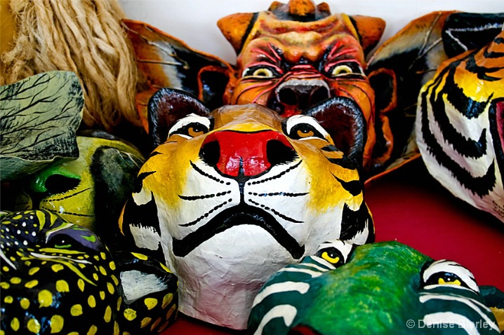 Masks - ID: 6461763 © Denise Bierley