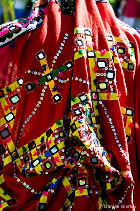 Textile Detail - ID: 6461764 © Denise Bierley