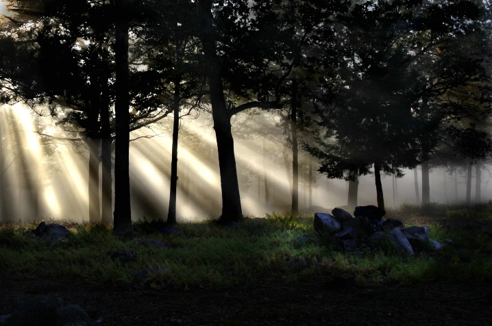 Rays of light