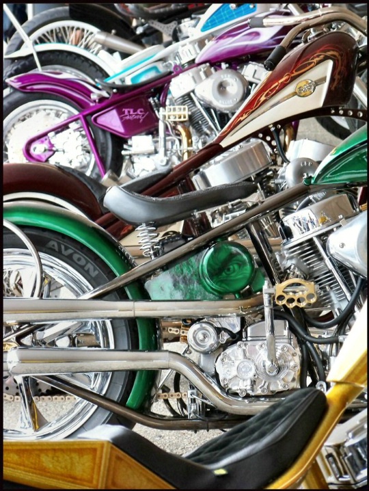Brotherhood of Cycles