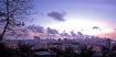 Morning, City!