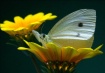 -*-*-*-*- Today, ...