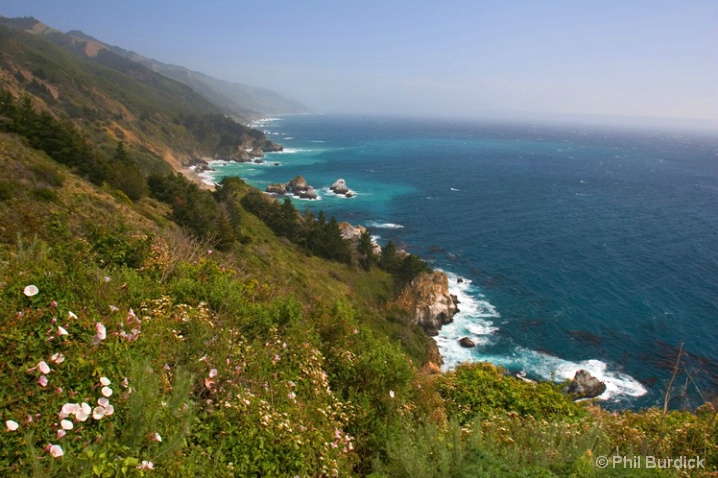 Big Sur - ID: 6488108 © Phil Burdick