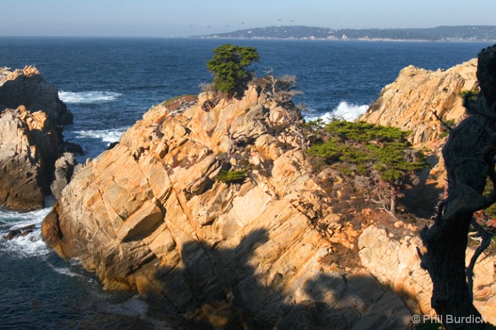 Point Lobos - ID: 6488143 © Phil Burdick