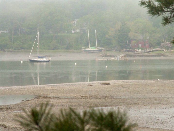Misty boats