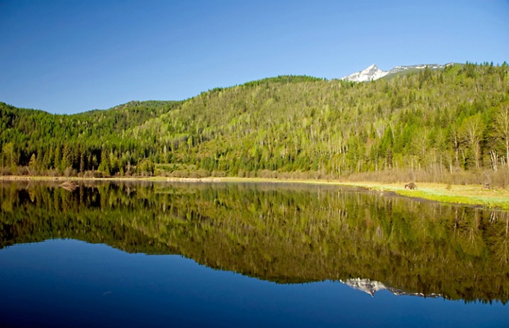 Beaver Pond