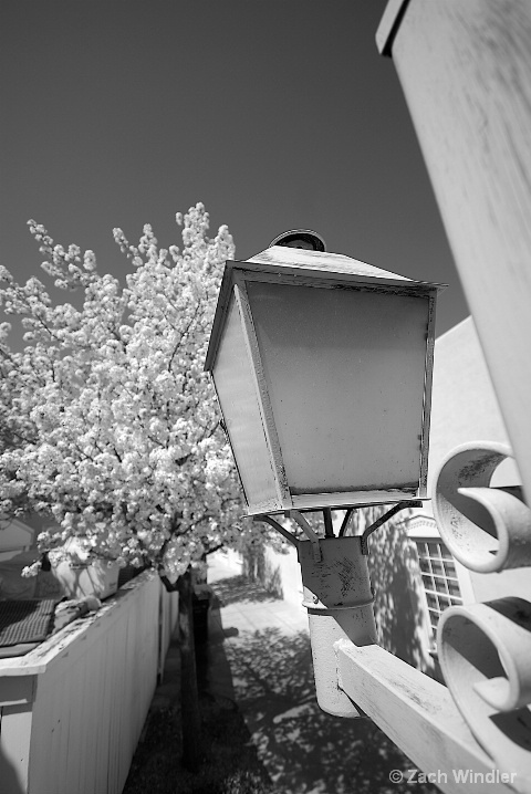 Old Town Lamp