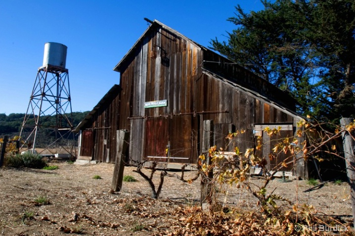 blue_belly_barn - ID: 6494966 © Phil Burdick