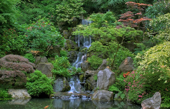 Japanese Garden IV