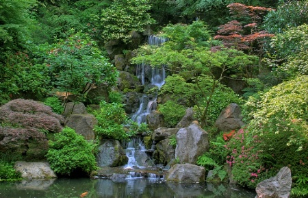 Japanese Garden IV