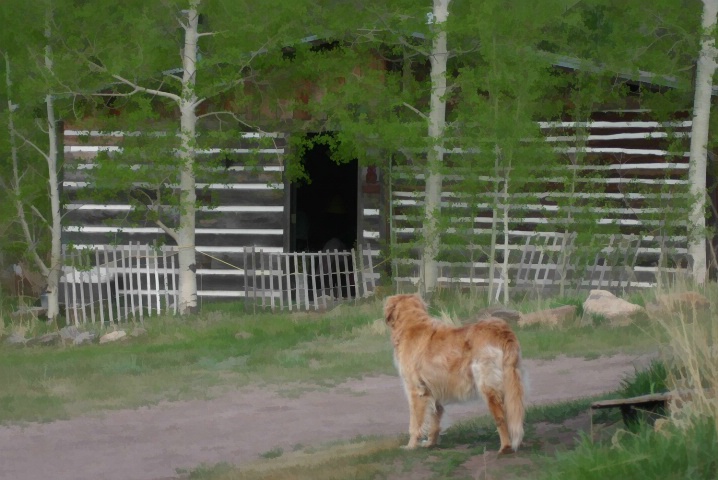 img14