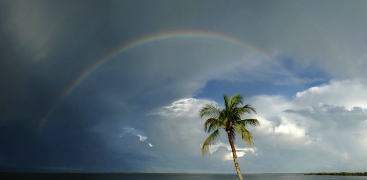 Captiva rainbow - ID: 6509628 © Michael Cenci