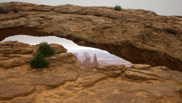Mesa Arch after the Fog Lifted - ID: 6511192 © Patricia A. Casey