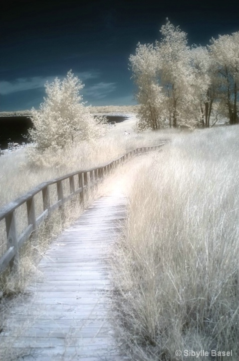 The magic of Infrared.....
