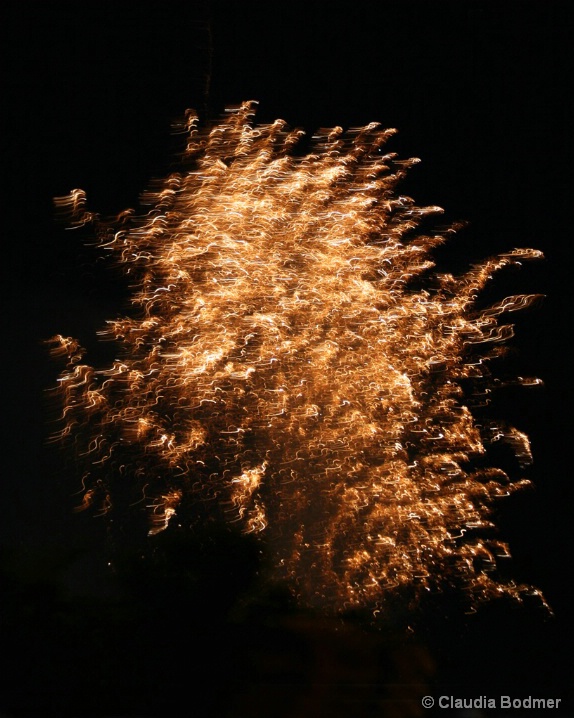 Fireworks 2008 - ID: 6515152 © Claudia/Theo Bodmer