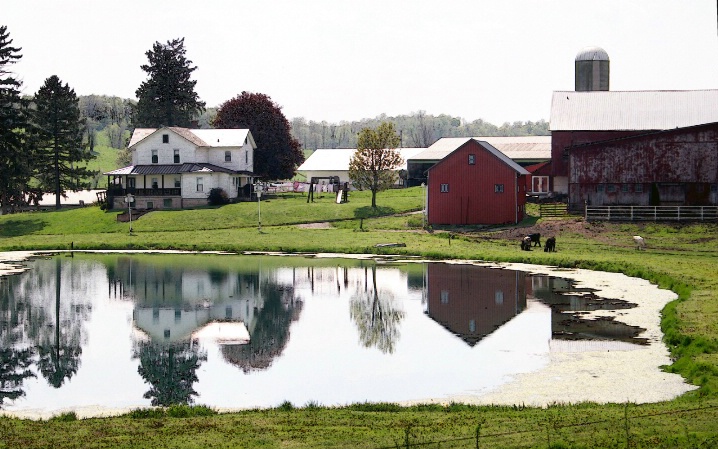Amish Farm on the Pond
