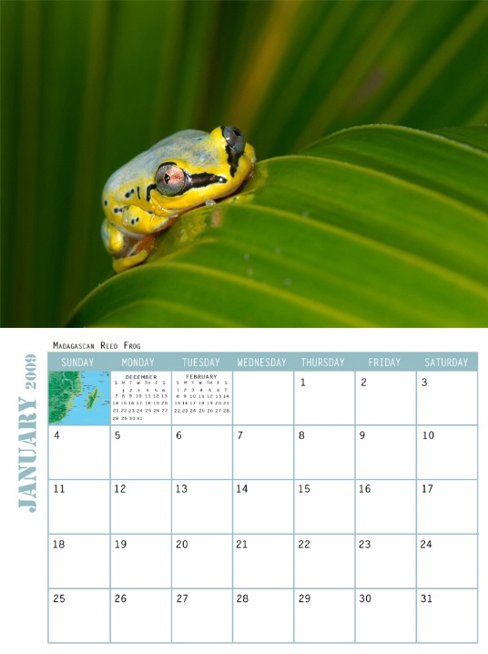 Frogs Calendar Inside Spread