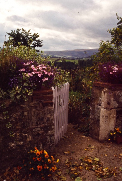 the garden gate