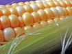 corn good enough ...