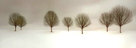 Seven Trees