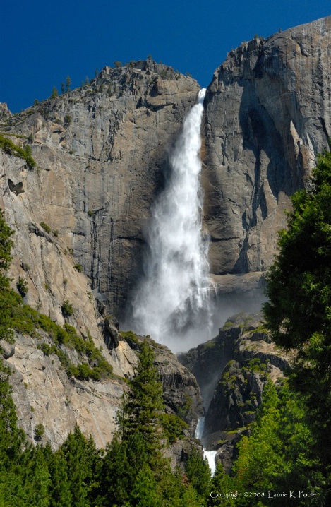 Yosemite Falls Spring Splendor