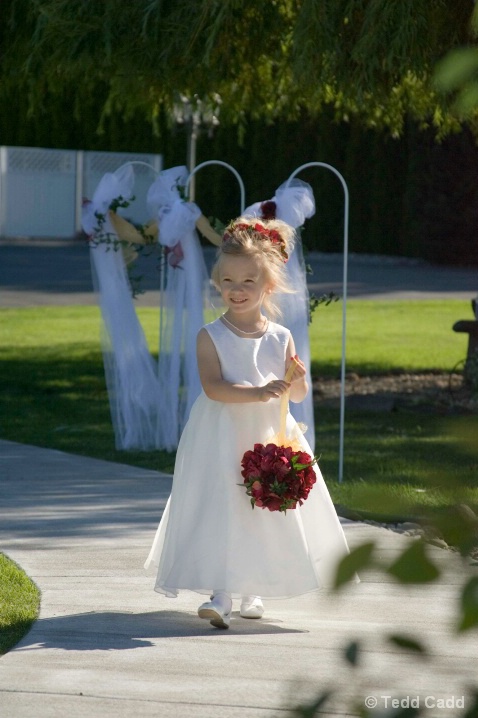 Flower Girl - ID: 6533432 © Tedd Cadd