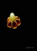 ~Out Of The Dark~