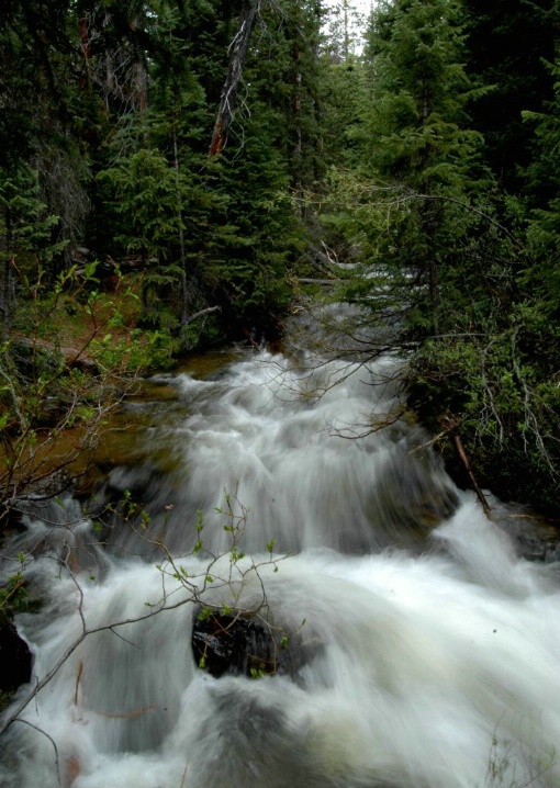 "Crossing the Creek to Ptarmigin Lake"