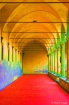 visual-stimulatio...