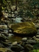 Flowing Through T...