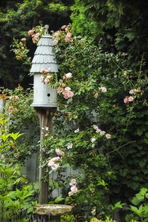 F190  Birdhouse & Roses