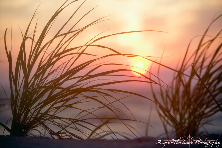 Beach Sun Rise