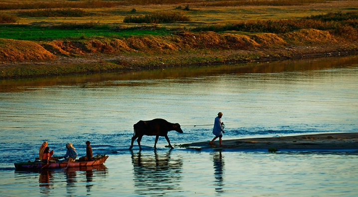 Evening Nile Crossing